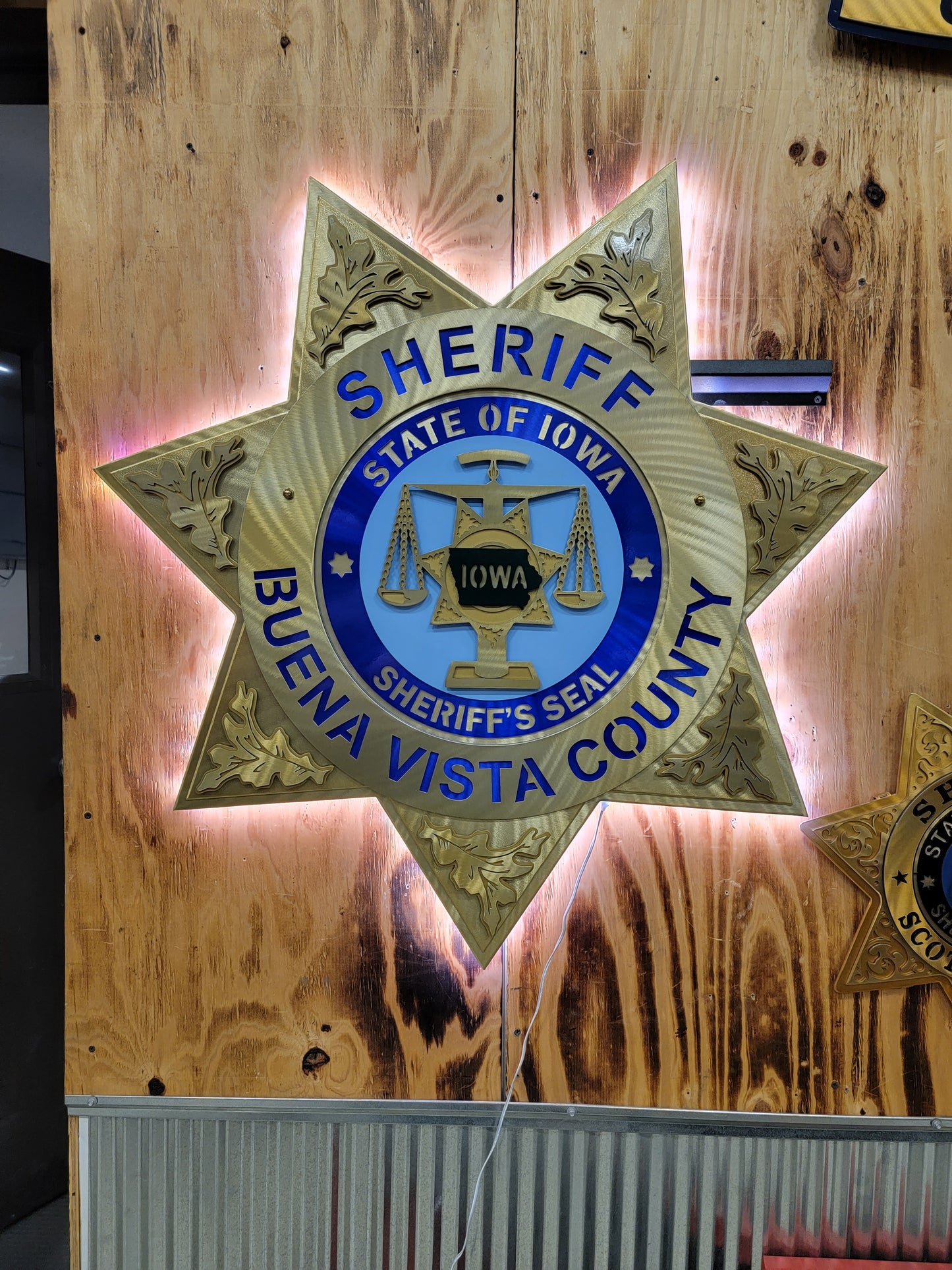 Buena Vista County Sheriff Star